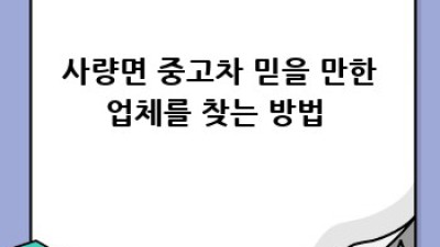 통영 사량면 중고차 거래, 어디서 해야 후회 없을까? 🚗💨